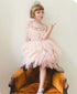 Little Princess Feathers And Ruffles Dress - Little Palace Store